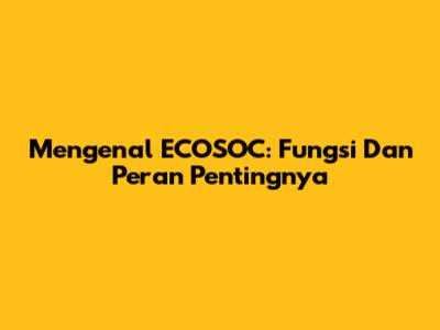 Mengenal ECOSOC: Fungsi Dan Peran Pentingnya