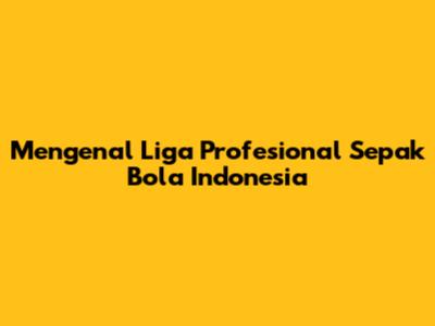 Mengenal Liga Profesional Sepak Bola Indonesia