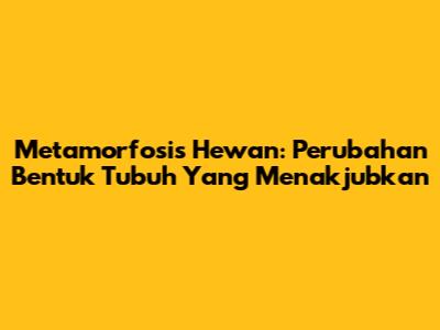 Metamorfosis Hewan: Perubahan Bentuk Tubuh Yang Menakjubkan