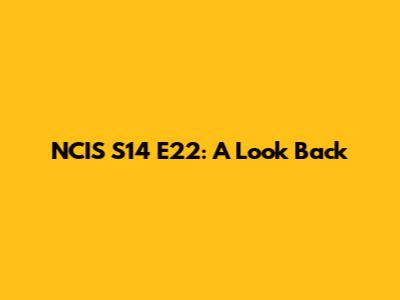 NCIS S14 E22: A Look Back