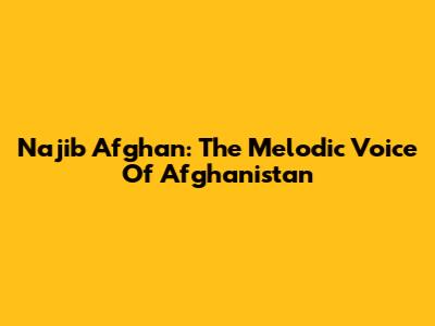 Najib Afghan: The Melodic Voice Of Afghanistan