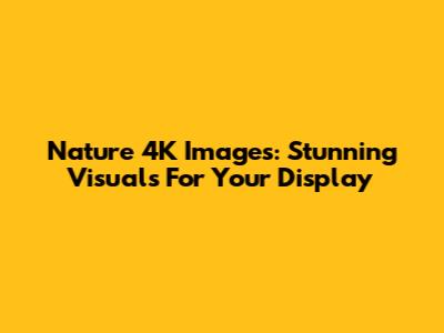 Nature 4K Images: Stunning Visuals For Your Display