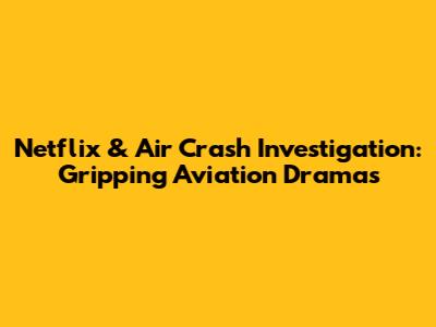 Netflix & Air Crash Investigation: Gripping Aviation Dramas