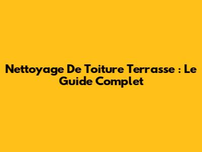 Nettoyage De Toiture Terrasse : Le Guide Complet