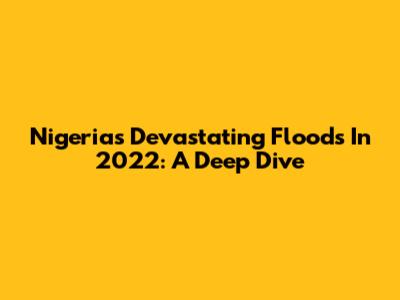 Nigeria's Devastating Floods In 2022: A Deep Dive