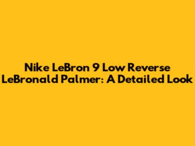 Nike LeBron 9 Low Reverse LeBronald Palmer: A Detailed Look