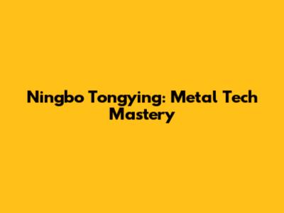 Ningbo Tongying: Metal Tech Mastery
