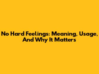 No Hard Feelings: Meaning, Usage, And Why It Matters
