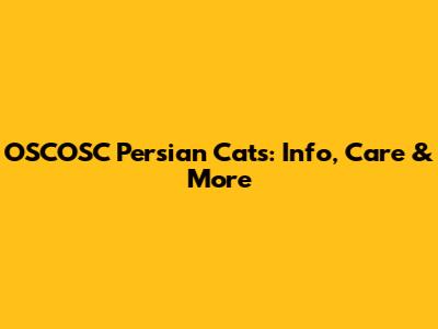 OSCOSC Persian Cats: Info, Care & More