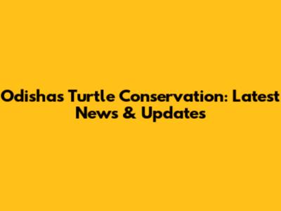Odisha's Turtle Conservation: Latest News & Updates