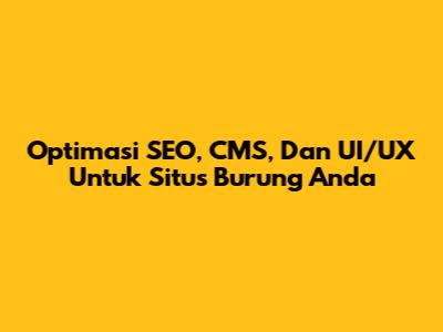 Optimasi SEO, CMS, Dan UI/UX Untuk Situs Burung Anda
