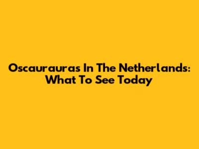 Oscaurauras In The Netherlands: What To See Today