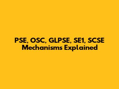 PSE, OSC, GLPSE, SE1, SCSE Mechanisms Explained