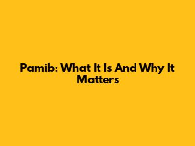 Pamib: What It Is And Why It Matters