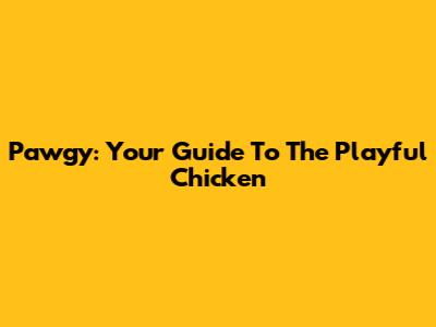 Pawgy: Your Guide To The Playful Chicken