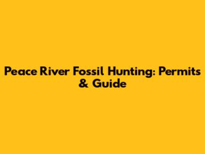 Peace River Fossil Hunting: Permits & Guide