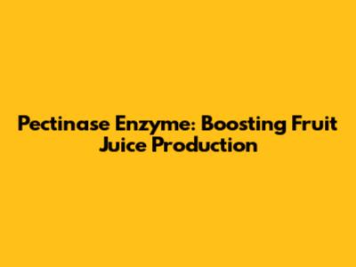 Pectinase Enzyme: Boosting Fruit Juice Production