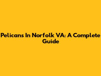 Pelicans In Norfolk VA: A Complete Guide