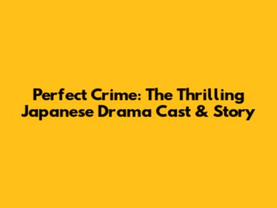 Perfect Crime: The Thrilling Japanese Drama Cast & Story