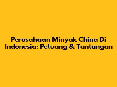 Perusahaan Minyak China Di Indonesia: Peluang & Tantangan