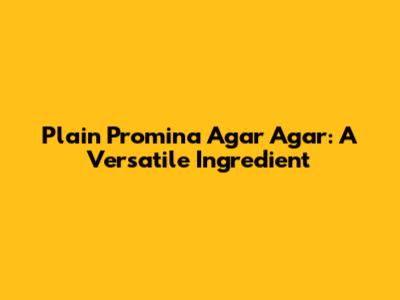 Plain Promina Agar Agar: A Versatile Ingredient