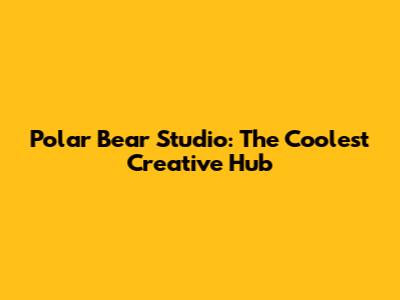Polar Bear Studio: The Coolest Creative Hub