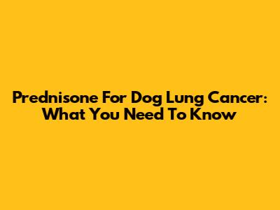 Prednisone For Dog Lung Cancer: What You Need To Know