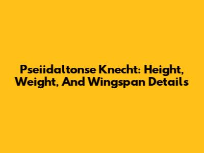 Pseiidaltonse Knecht: Height, Weight, And Wingspan Details