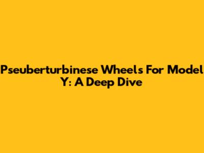 Pseuberturbinese Wheels For Model Y: A Deep Dive