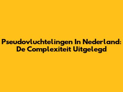 Pseudovluchtelingen In Nederland: De Complexiteit Uitgelegd