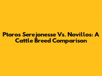 Ptoros Serejonesse Vs. Novillos: A Cattle Breed Comparison