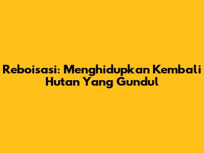 Reboisasi: Menghidupkan Kembali Hutan Yang Gundul