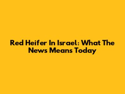 Red Heifer In Israel: What The News Means Today
