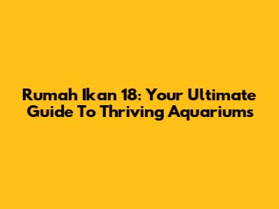 Rumah Ikan 18: Your Ultimate Guide To Thriving Aquariums