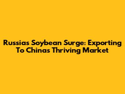 Russia's Soybean Surge: Exporting To China's Thriving Market