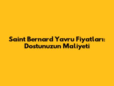 Saint Bernard Yavru Fiyatları: Dostunuzun Maliyeti
