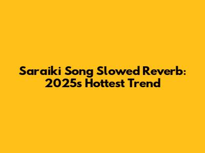 Saraiki Song Slowed Reverb: 2025's Hottest Trend