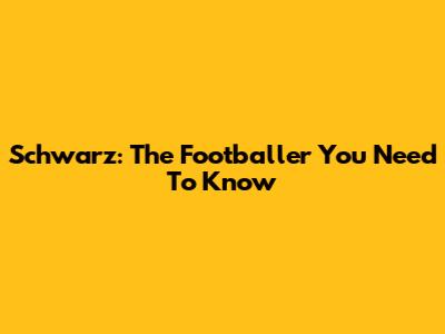 Schwarz: The Footballer You Need To Know