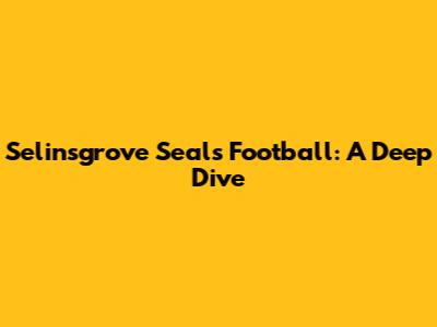 Selinsgrove Seals Football: A Deep Dive