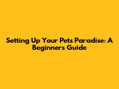 Setting Up Your Pets' Paradise: A Beginner's Guide