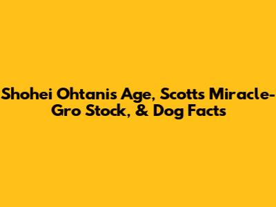 Shohei Ohtani's Age, Scotts Miracle-Gro Stock, & Dog Facts