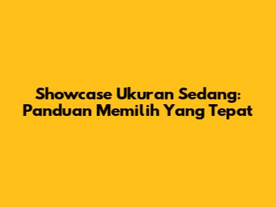 Showcase Ukuran Sedang: Panduan Memilih Yang Tepat