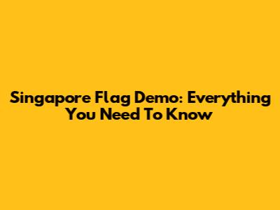 Singapore Flag Demo: Everything You Need To Know