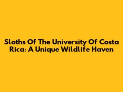 Sloths Of The University Of Costa Rica: A Unique Wildlife Haven