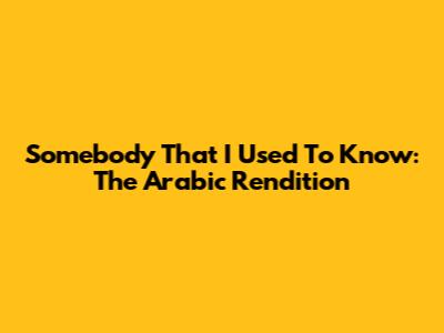 Somebody That I Used To Know: The Arabic Rendition