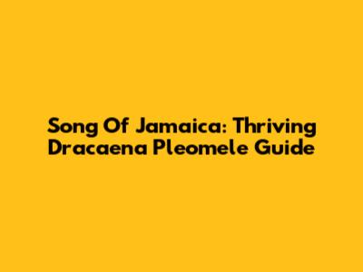 Song Of Jamaica: Thriving Dracaena Pleomele Guide