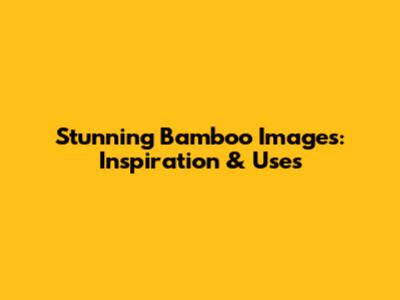 Stunning Bamboo Images: Inspiration & Uses