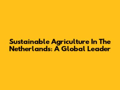 Sustainable Agriculture In The Netherlands: A Global Leader