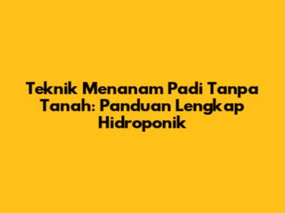 Teknik Menanam Padi Tanpa Tanah: Panduan Lengkap Hidroponik