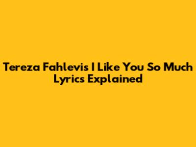 Tereza Fahlevi's 'I Like You So Much' Lyrics Explained